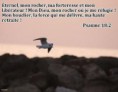 Christ, le rocher ou bâtir sa vie sur le roc!